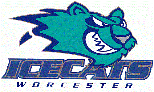 Worcester IceCats 98/99 Jersey's