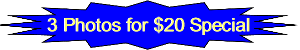 $20 Photo Special